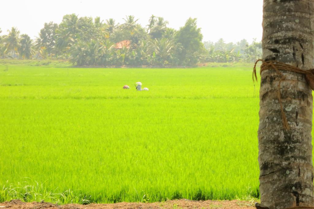 Marari Secret Beach Yoga Homestay Mararikulam Exteriör bild