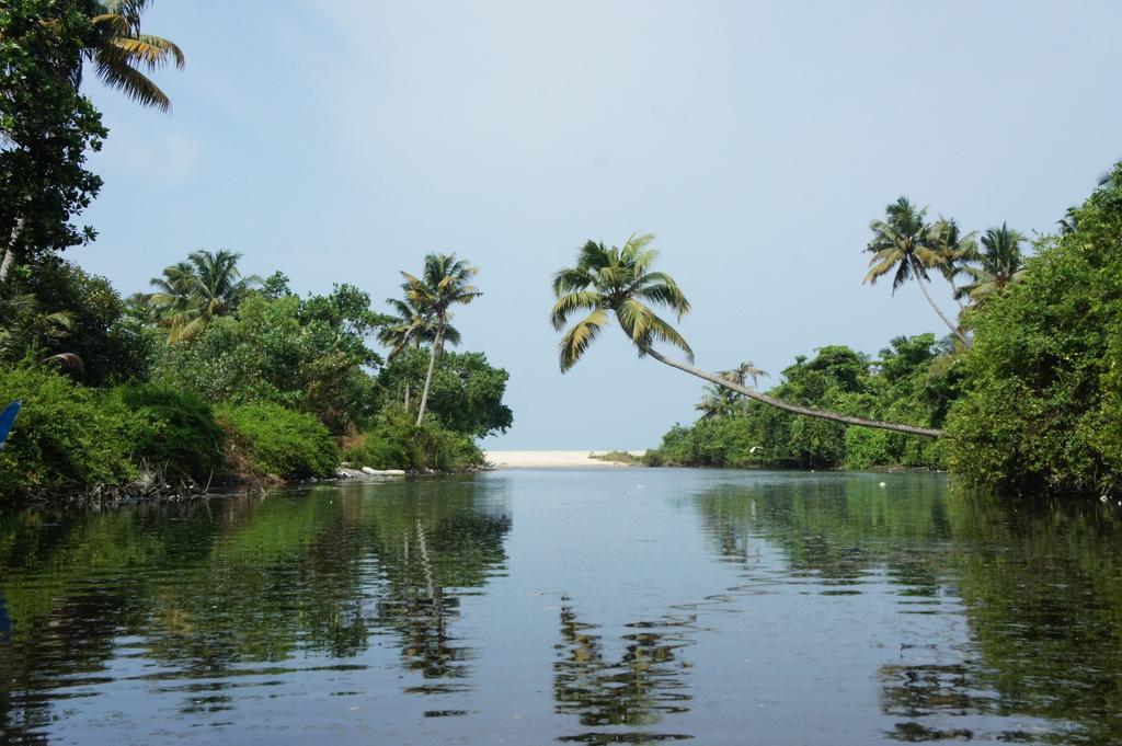 Marari Secret Beach Yoga Homestay Mararikulam Exteriör bild
