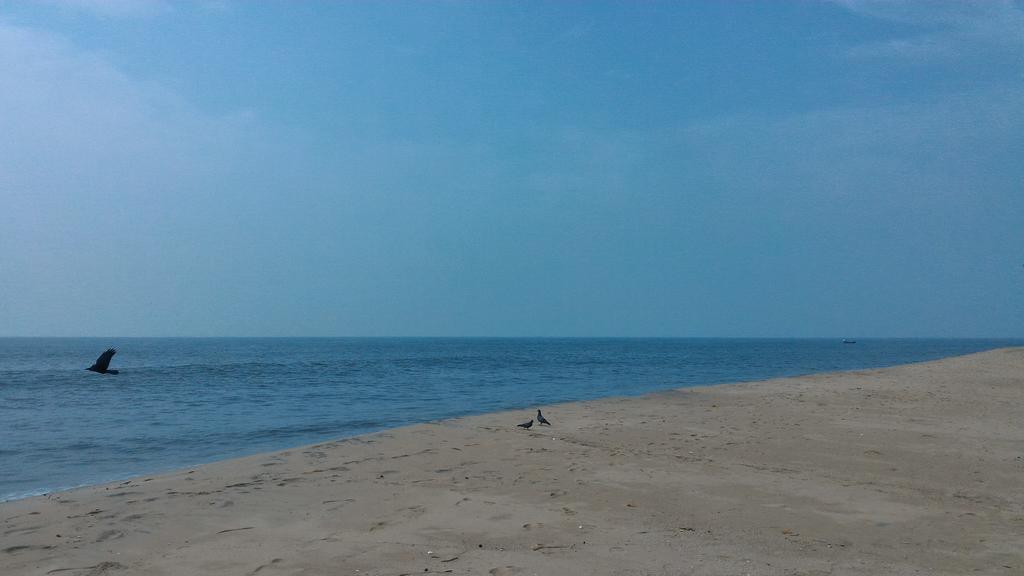Marari Secret Beach Yoga Homestay Mararikulam Exteriör bild